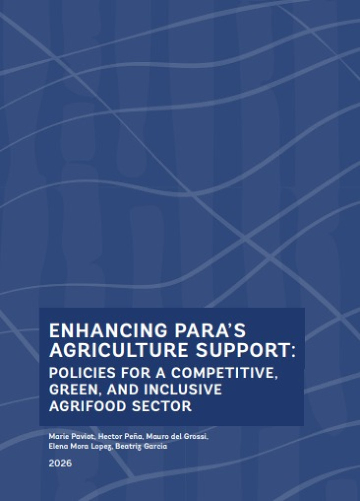 Fortalecimiento del apoyo agrícola en Pará: políticas para un sector agroalimentario competitivo, verde e inclusivo