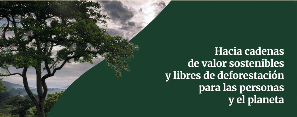 Europe Initiative on Deforestation-Free Value Chains (Zero Deforestation Hub)