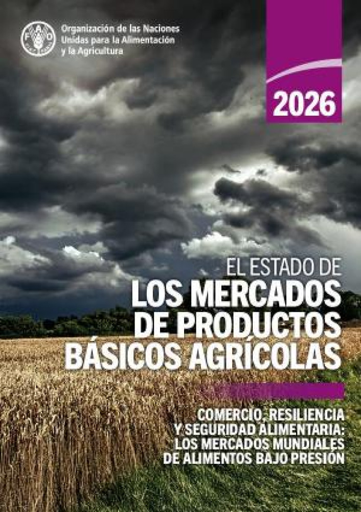 In Brief to The State of Agricultural Commodity Markets 2026. Trade, resilience and food security: Global food markets under stress