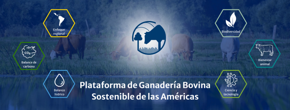 Sustainable Beef Cattle Platform of the Americas