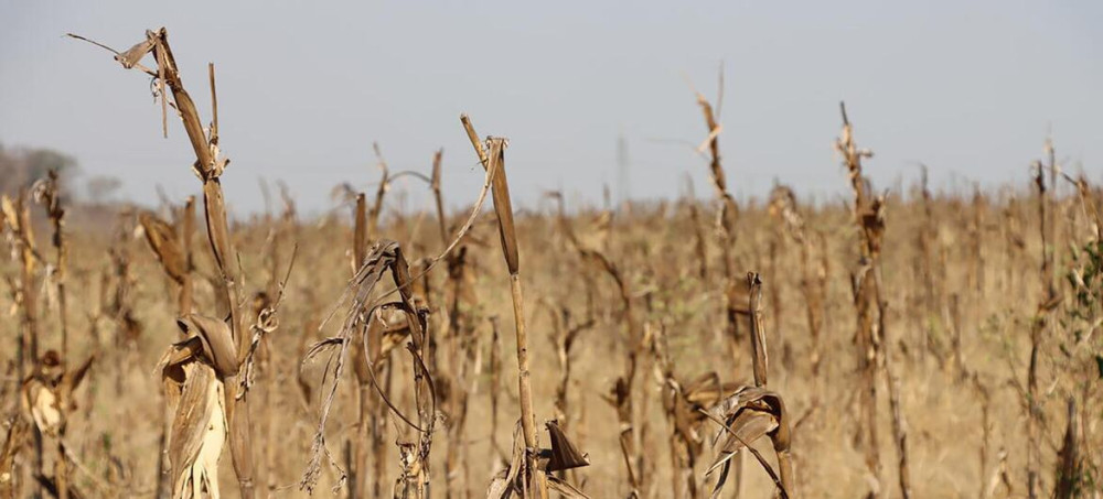 Cómo El Niño pone a prueba la capacidad del mundo para adaptarse a un clima cambiante