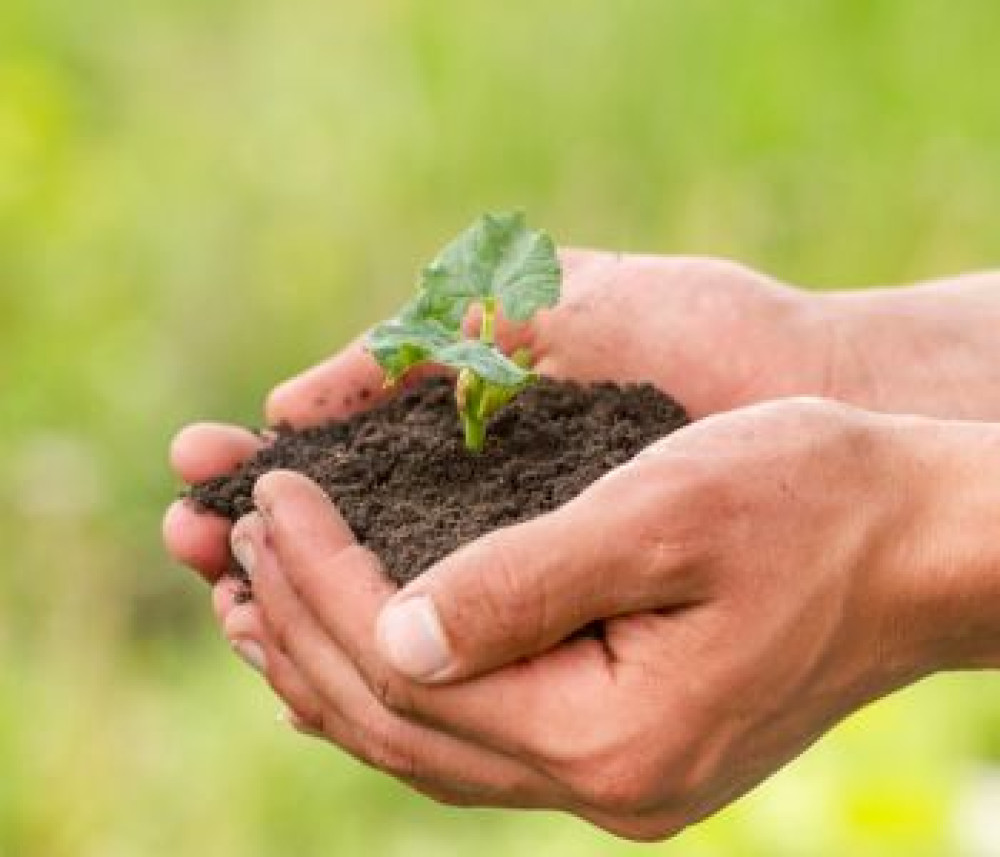 Reglamento Europeo sobre la Deforestación (EUDR): Desafíos y soluciones contra la deforestación