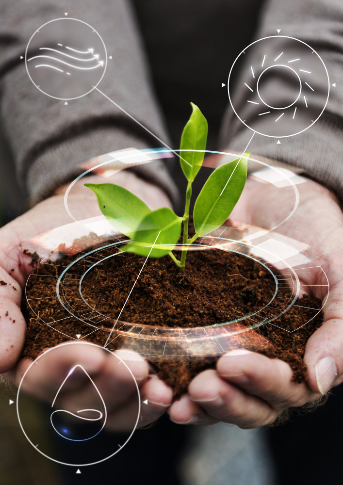 Bioeconomía: Principios y Herramientas para un Futuro Sostenible