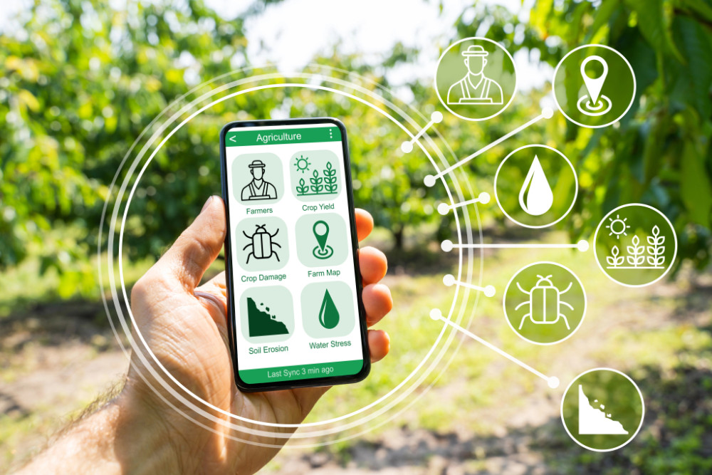 Responses of technical assistance and rural extension to the challenges of competitive sustainability in family farming and rural MSMEs.