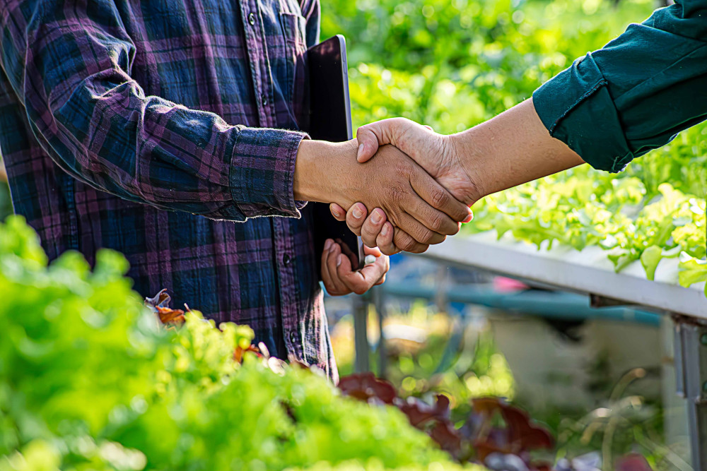 Agricultura familiar vinculada a mercados competitivos. Compras públicas de alimentos, valorización de atributos relacionados con el origen, alianzas productivas