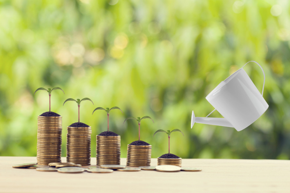 Inserción financiera e inversiones de impacto para la agricultura familiar y las MIPYMES rurales