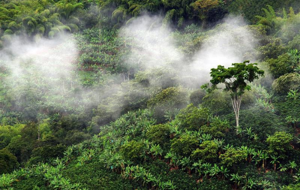 Marcos de Políticas Públicas sobre Deforestación y Conservación de la Biodiversidad
